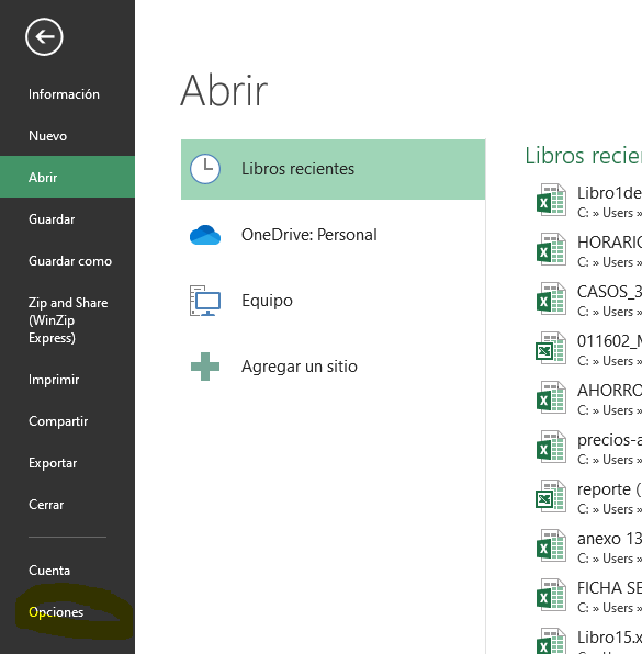 ficha opciones excel